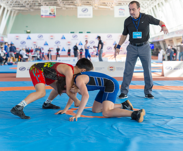 Первый всероссийский турнир по греко-римской борьбе 