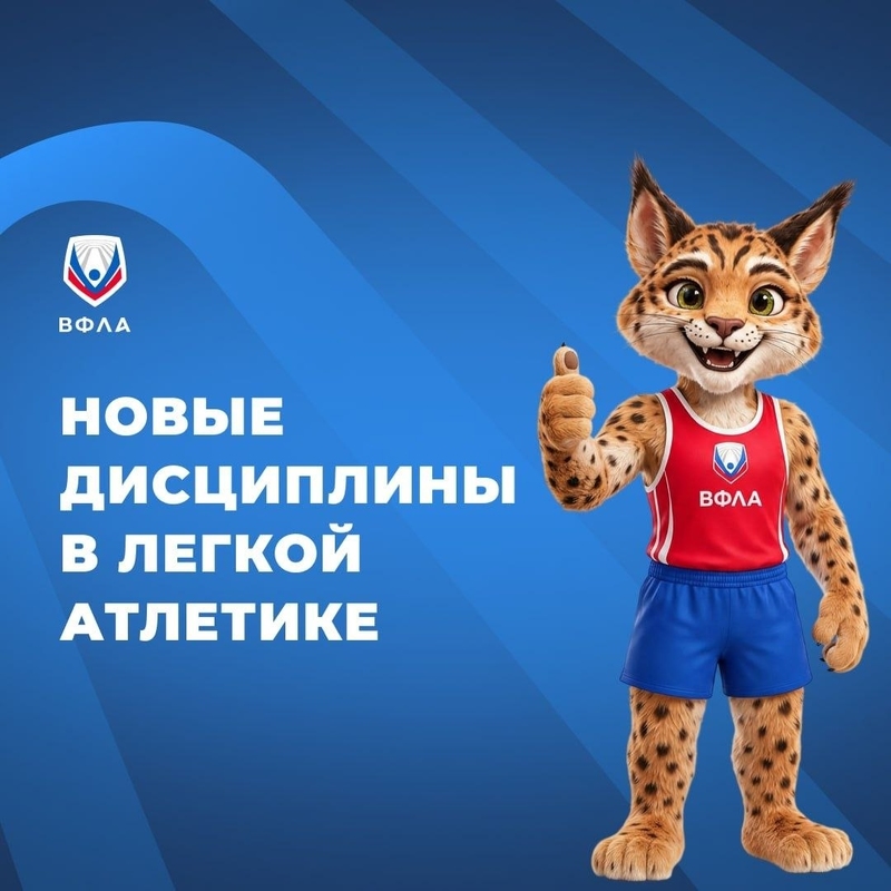 У нас пополнение — сразу 13 дисциплин